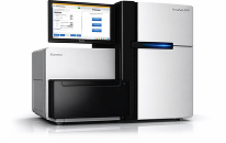 Affected brain tissue