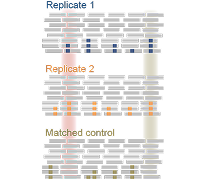 Affected brain tissue